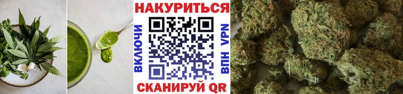 наркотики  Новороссийск  Cannafood конопля 