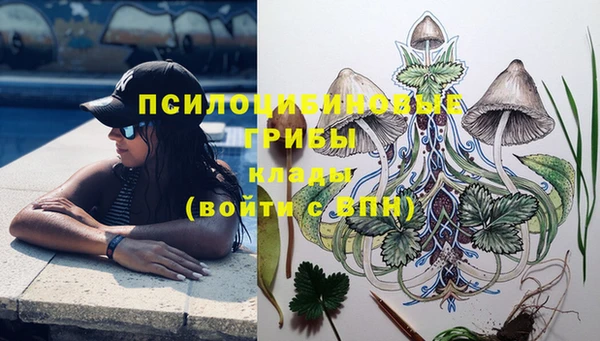 экстази Липки