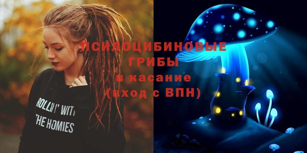 гашик Майский