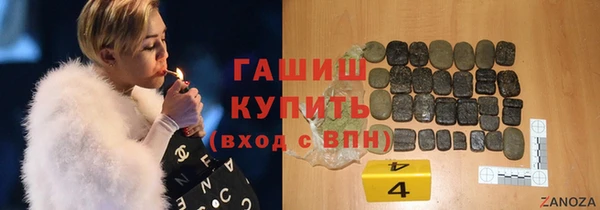 хмурый Магас
