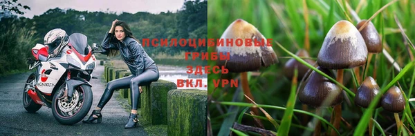 а пвп мука Лихославль
