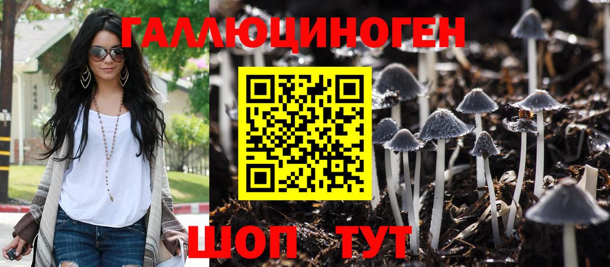 Псилоцибиновые грибы Psilocybe  Галлюциногенные грибы ЛСД  Новороссийск  Вход с VPN 